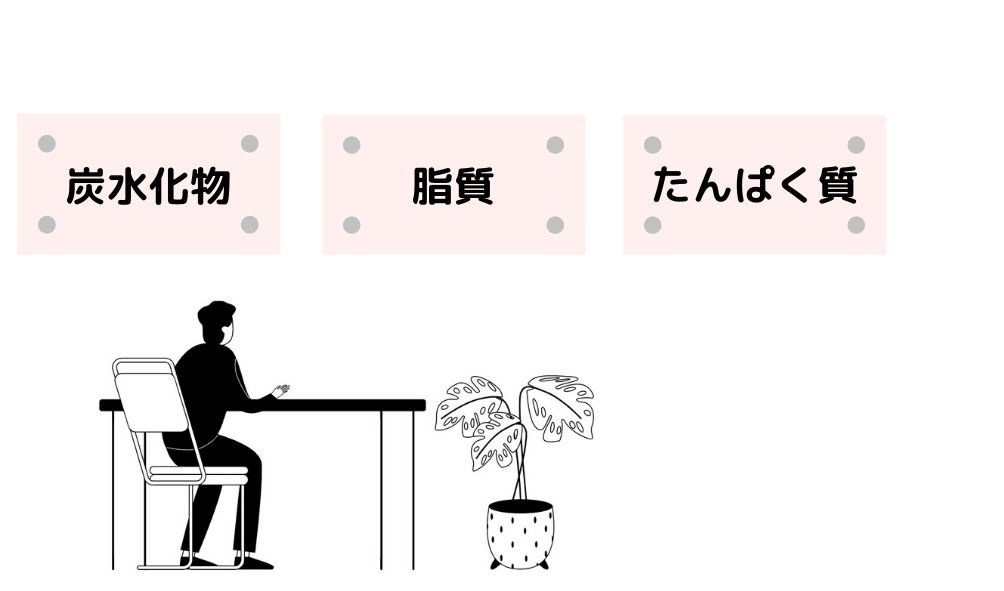 画像に alt 属性が指定されていません。ファイル名: 3大栄養素-1.jpg